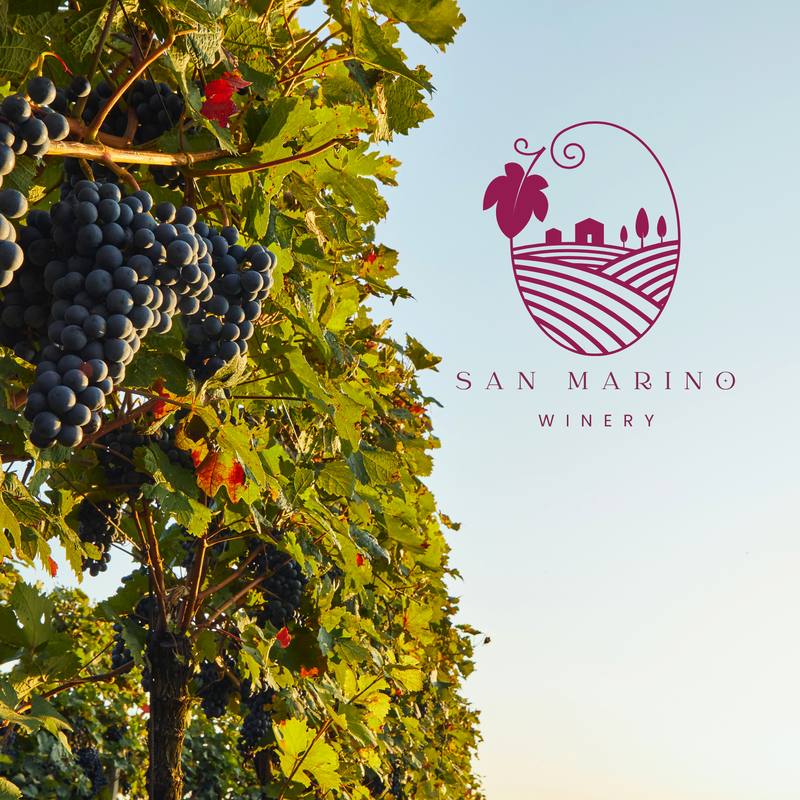 Filari di uva mora al tramonto, logo Podere San Marino Winery — caso studio Officina 1:1